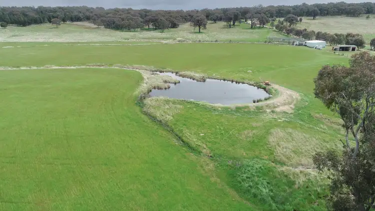 Fourth view of Homely rural property listing, 'Jamac' 823 Peabody Road, Molong NSW 2866