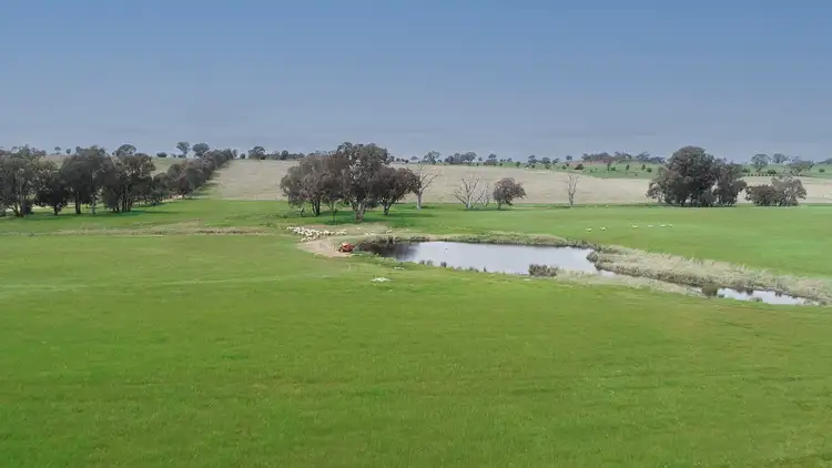 Fifth view of Homely rural property listing, 'Jamac' 823 Peabody Road, Molong NSW 2866