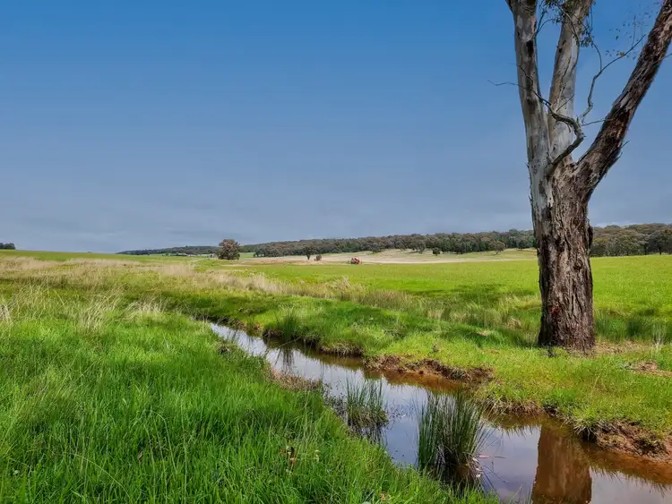Sixth view of Homely rural property listing, 'Jamac' 823 Peabody Road, Molong NSW 2866