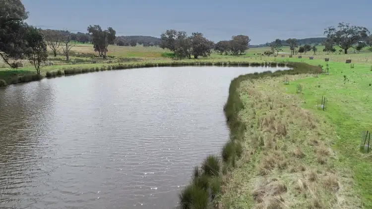 Seventh view of Homely rural property listing, 'Jamac' 823 Peabody Road, Molong NSW 2866
