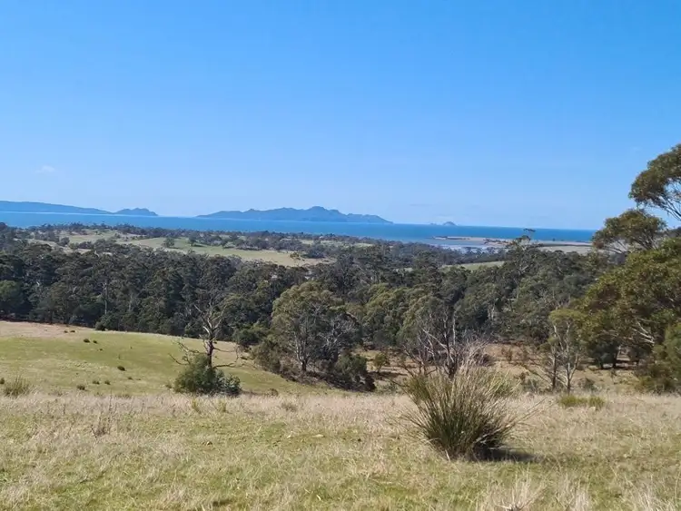 Seventh view of Homely land listing, LOT 2, 10923 Tasman Highway, Little Swanport TAS 7190