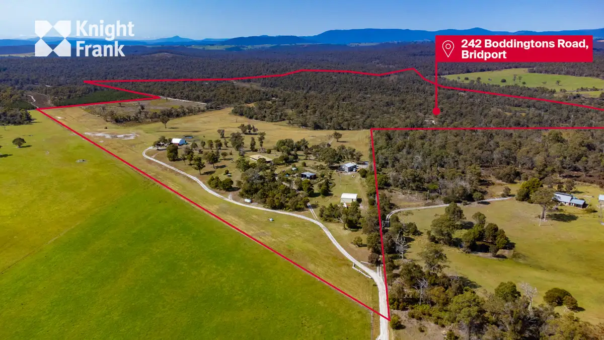 Main view of Homely rural property listing, 242 Boddingtons Road, Bridport TAS 7262