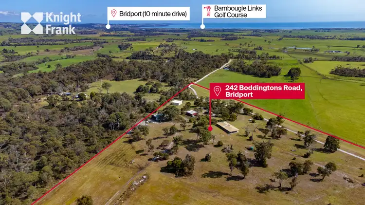 Third view of Homely rural property listing, 242 Boddingtons Road, Bridport TAS 7262