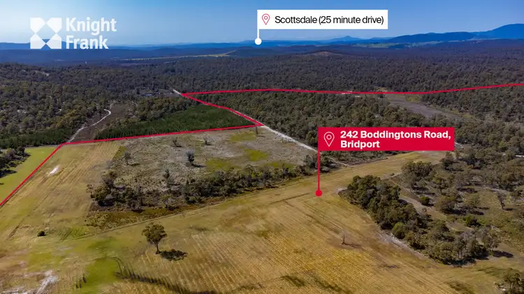 Fifth view of Homely rural property listing, 242 Boddingtons Road, Bridport TAS 7262