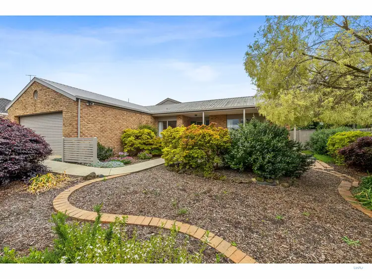 1B Boscarne Avenue, Torquay VIC 3228