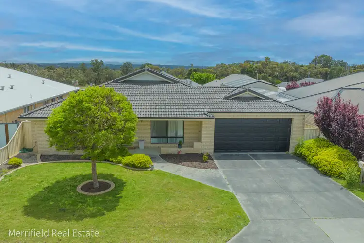 14 Albatross Drive, Bayonet Head WA 6330