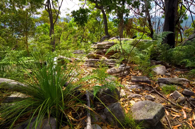Second view of Homely rural property listing, 100 Mahogany Drive, Pillar Valley NSW 2462