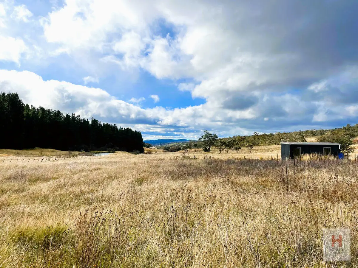 Main view of Homely land listing, 2354 Tom Groggin Road, Nimmitabel NSW 2631