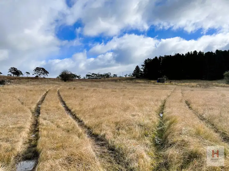 Fourth view of Homely land listing, 2354 Tom Groggin Road, Nimmitabel NSW 2631