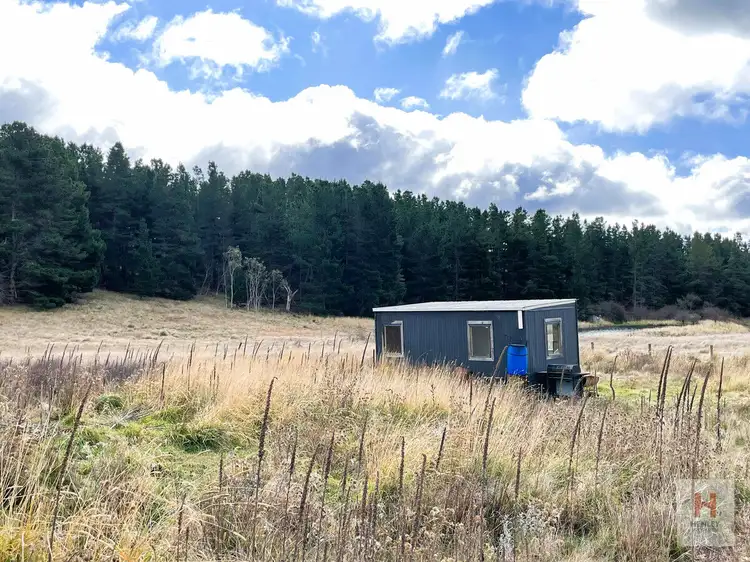 Sixth view of Homely land listing, 2354 Tom Groggin Road, Nimmitabel NSW 2631