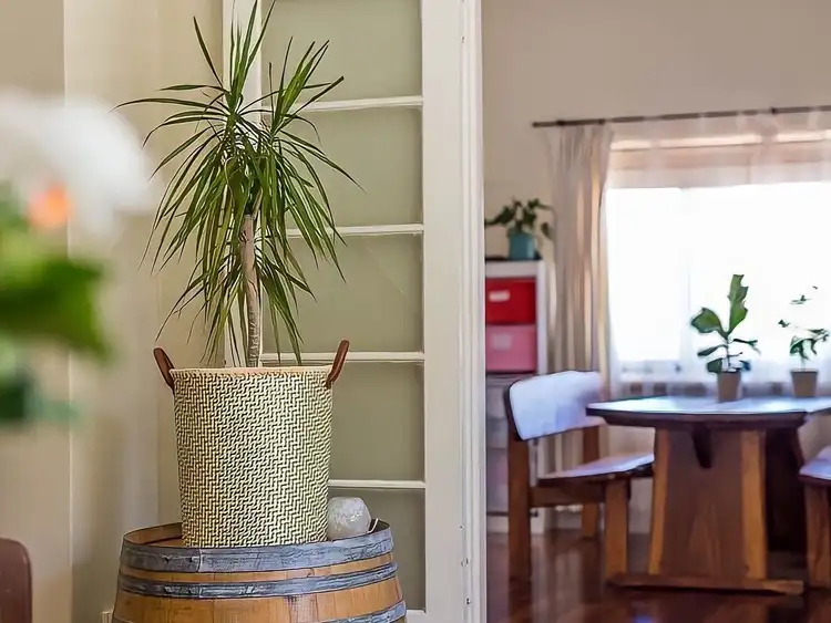 Third view of Homely house listing, 4 Sasse Avenue, Mount Hawthorn WA 6016