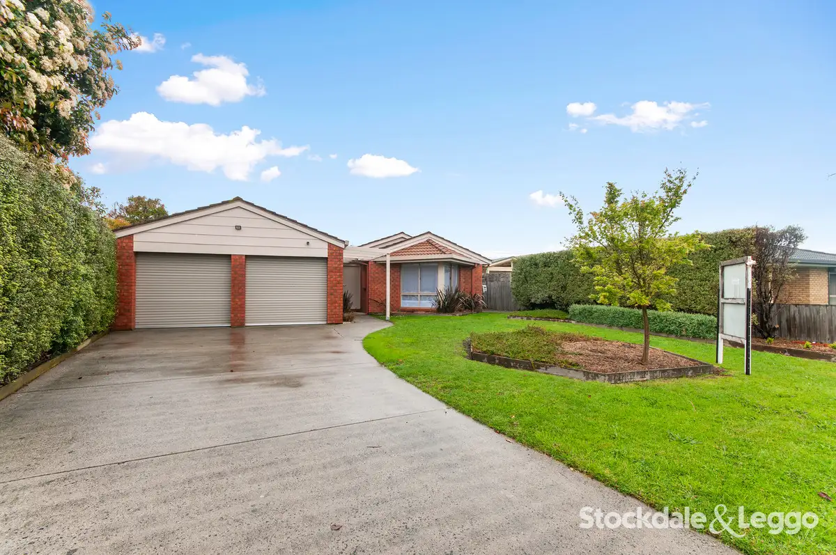 Main view of Homely house listing, 7 Patrobas Crt, Traralgon VIC 3844