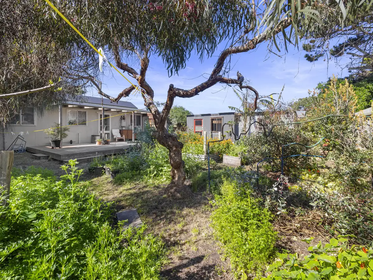 Main view of Homely house listing, 66 Tampa Road, Cape Woolamai VIC 3925