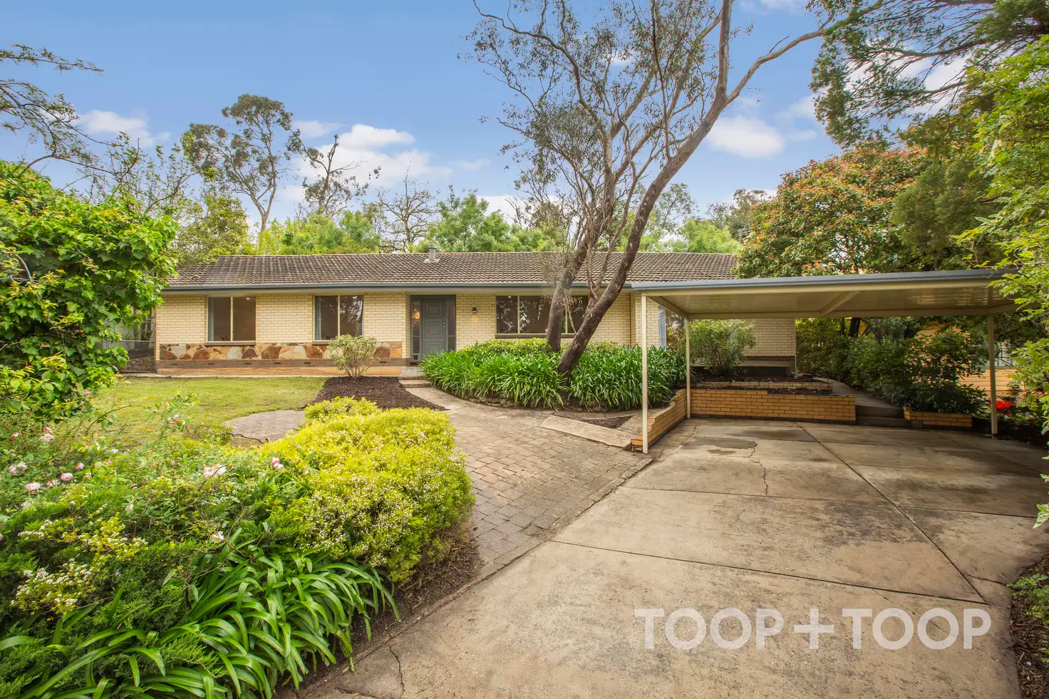 Main view of Homely house listing, 38 Hawthorndene Drive, Hawthorndene SA 5051