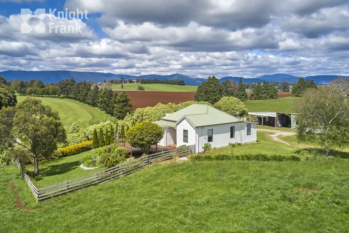 Main view of Homely house listing, 55 Listers Road, Scottsdale TAS 7260
