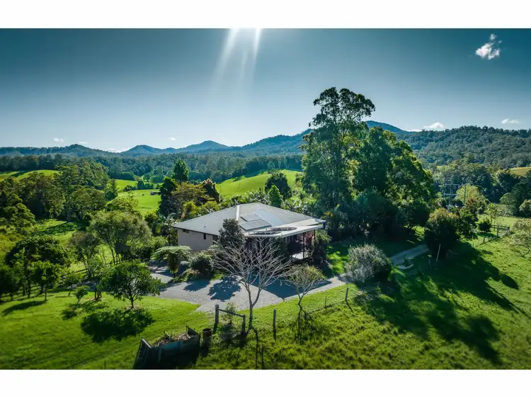 1191 Bowraville Road, Bellingen NSW 2454
