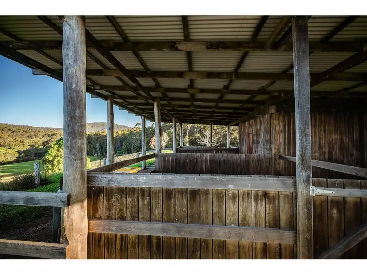 Second view of Homely rural property listing, 1191 Bowraville Road, Bellingen NSW 2454