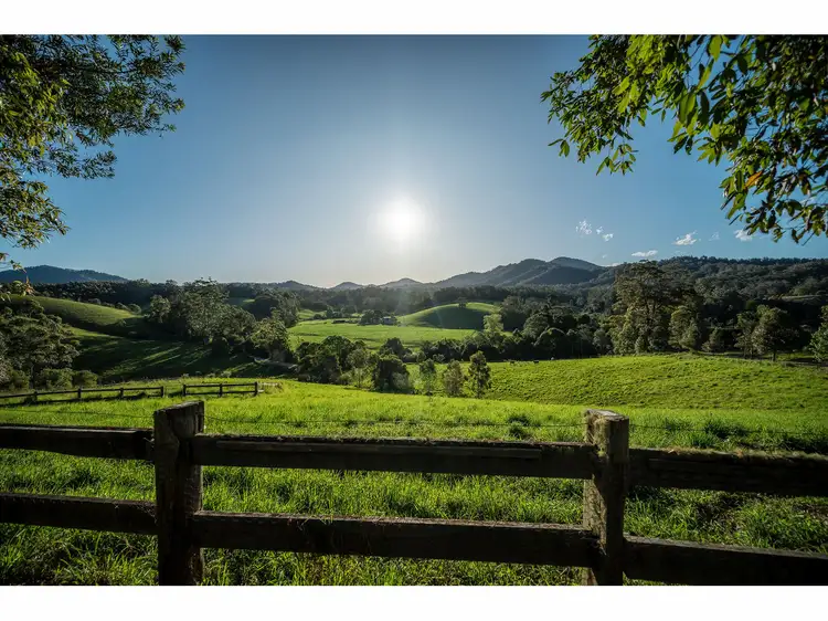 Third view of Homely rural property listing, 1191 Bowraville Road, Bellingen NSW 2454