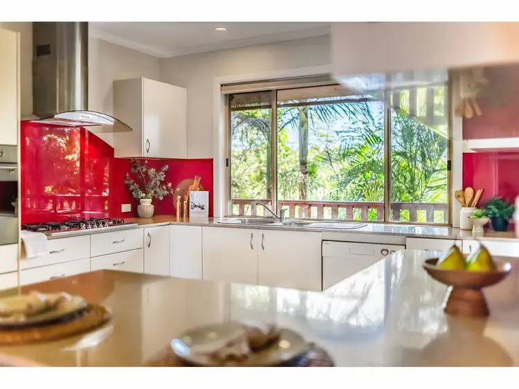 Fourth view of Homely rural property listing, 1191 Bowraville Road, Bellingen NSW 2454