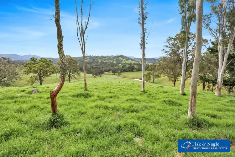 104 Hawks Head Road, Brogo NSW 2550