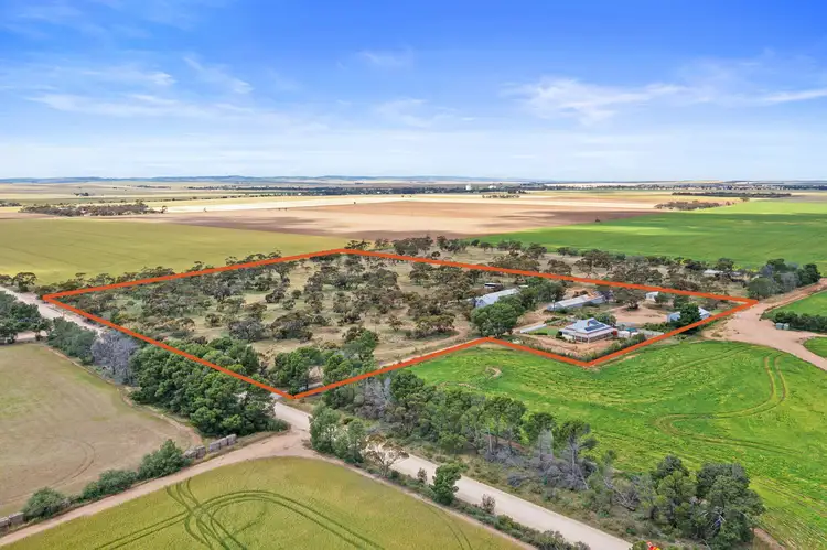 Second view of Homely rural property listing, 1494 Mallee Corner Road, Brinkworth SA 5464