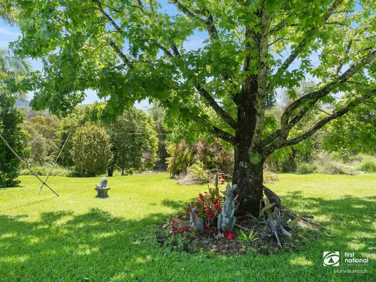 Second view of Homely rural property listing, 434 Hopkins Creek Road, Hopkins Creek NSW 2484