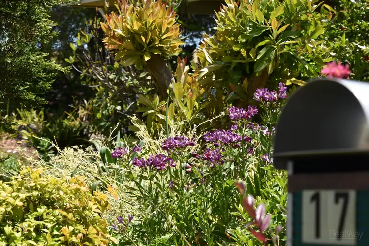 Second view of Homely house listing, 17 Ansett Court, Wilsonton QLD 4350