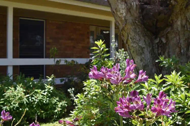 Fourth view of Homely house listing, 17 Ansett Court, Wilsonton QLD 4350