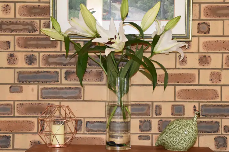Sixth view of Homely house listing, 17 Ansett Court, Wilsonton QLD 4350