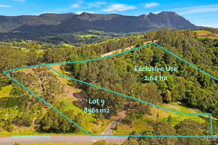 LOT 9, 2981 Kyogle Road, Kunghur NSW 2484