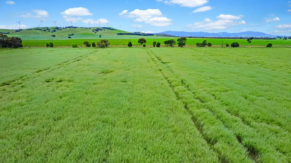 Main view of Homely rural property listing, Dyers Road, Ballyrogan VIC 3375