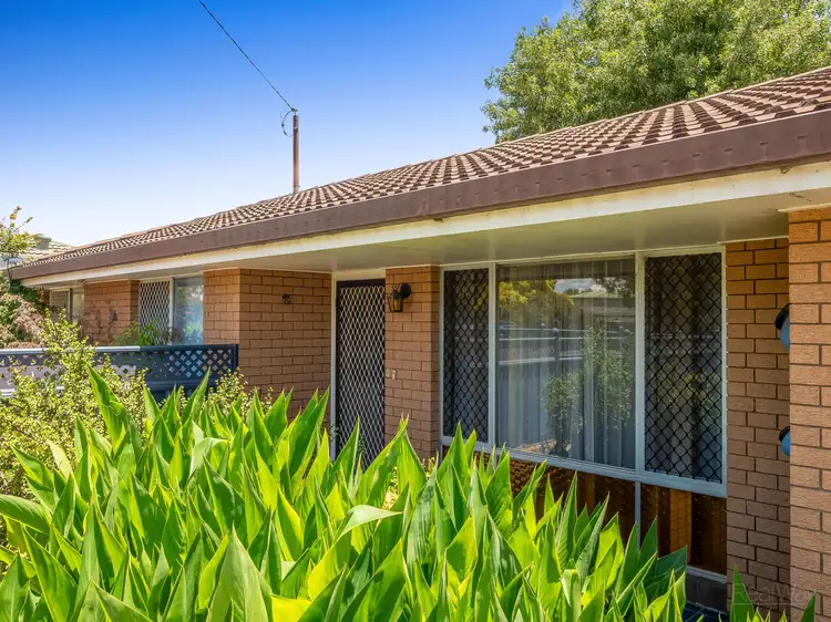 Main view of Homely house listing, 14 Proposch Street, Oakey QLD 4401