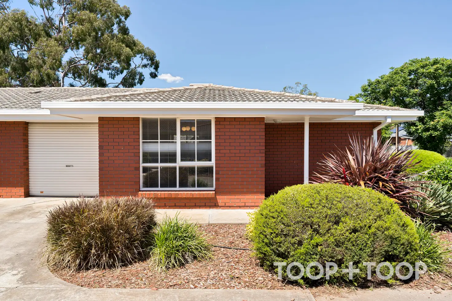 Main view of Homely unit listing, 1/74 McDonnell Avenue, West Hindmarsh SA 5007