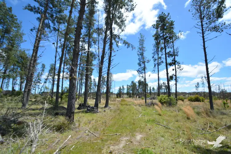 Fifth view of Homely land listing, LOT 31 Border Road, Ruby Creek NSW 4380