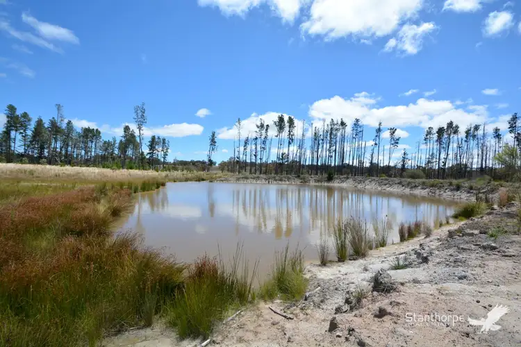 Seventh view of Homely land listing, LOT 31 Border Road, Ruby Creek NSW 4380