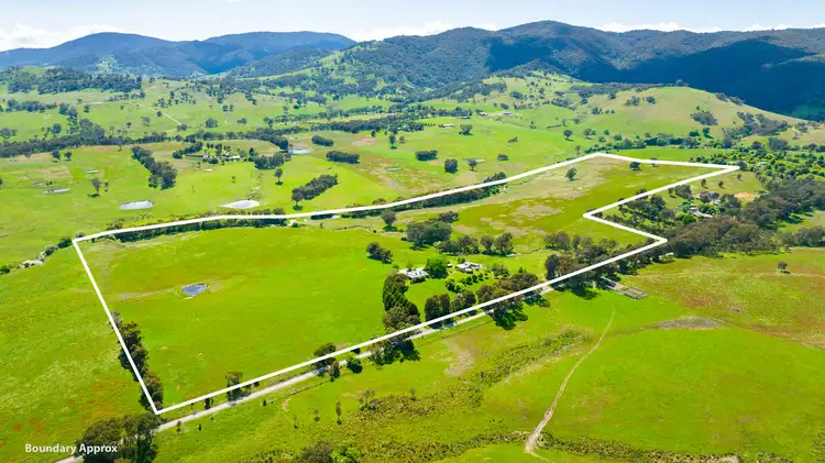 Fourth view of Homely rural property listing, 199 Meehan Lane, Osbornes Flat VIC 3691