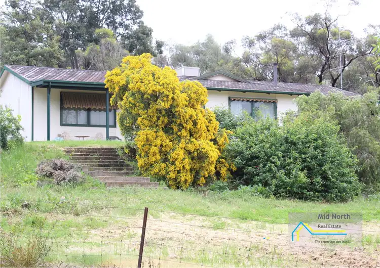 Main view of Homely house listing, 12 Plant Avenue, Clare SA 5453