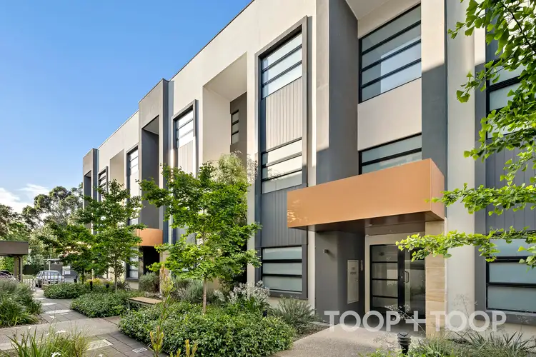 9/3 Alexander Lane, Marden SA 5070