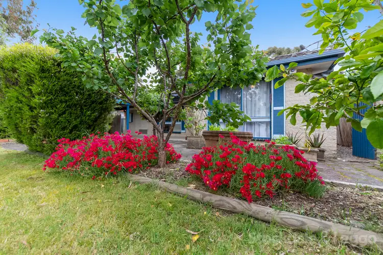 Fourth view of Homely house listing, 14 Elmstead Drive, Wheelers Hill VIC 3150