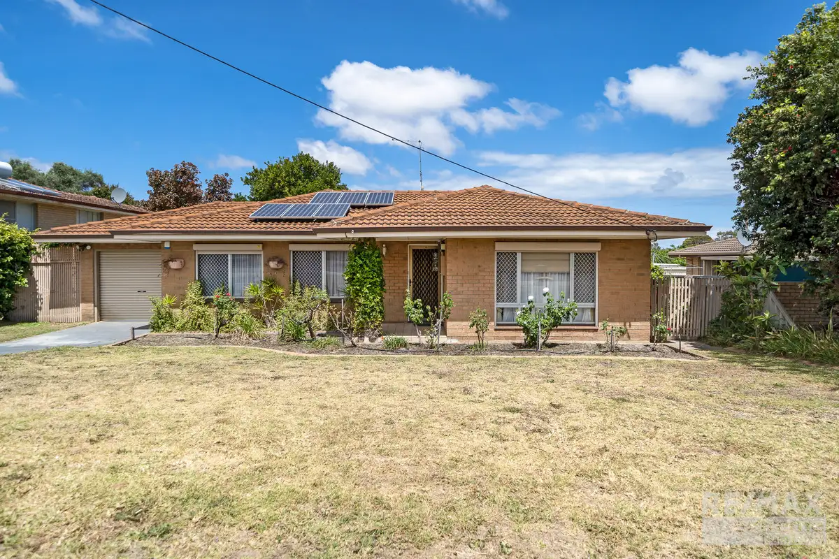 Main view of Homely house listing, 1019 Wanneroo Road, Wanneroo WA 6065