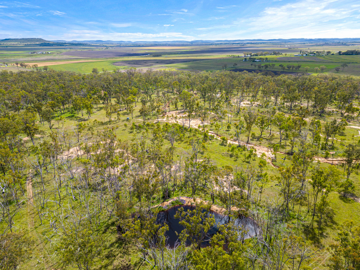 Main view of Homely rural property listing, LOT 3 Harrigan Road, Sandy Camp QLD 4361