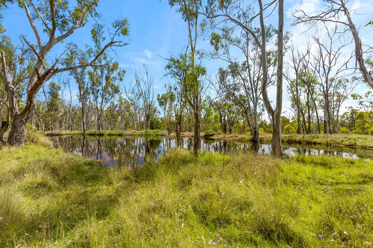 Second view of Homely rural property listing, LOT 3 Harrigan Road, Sandy Camp QLD 4361