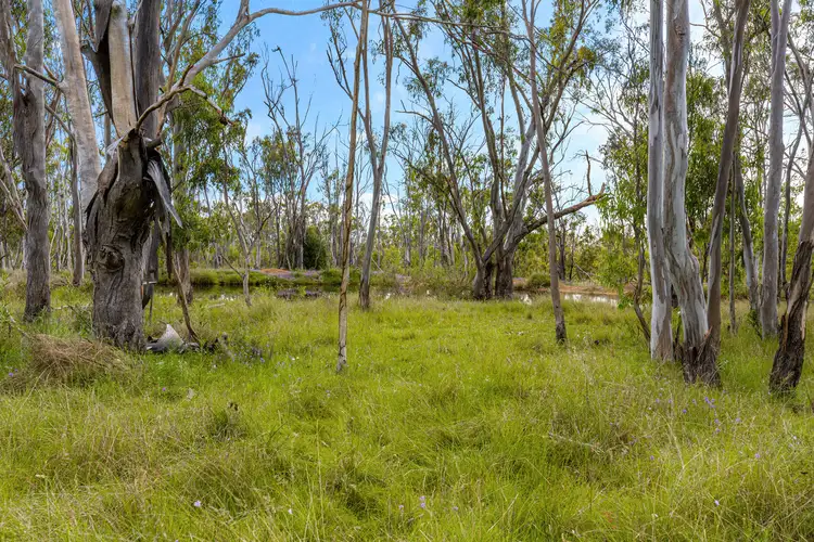 Sixth view of Homely rural property listing, LOT 3 Harrigan Road, Sandy Camp QLD 4361