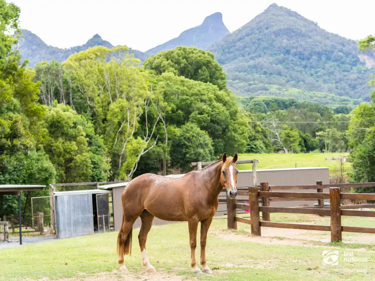 Second view of Homely rural property listing, 32 Meadow Place, Uki NSW 2484