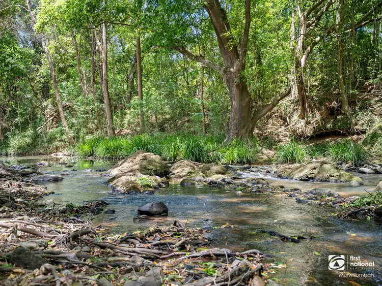 Fifth view of Homely rural property listing, 32 Meadow Place, Uki NSW 2484