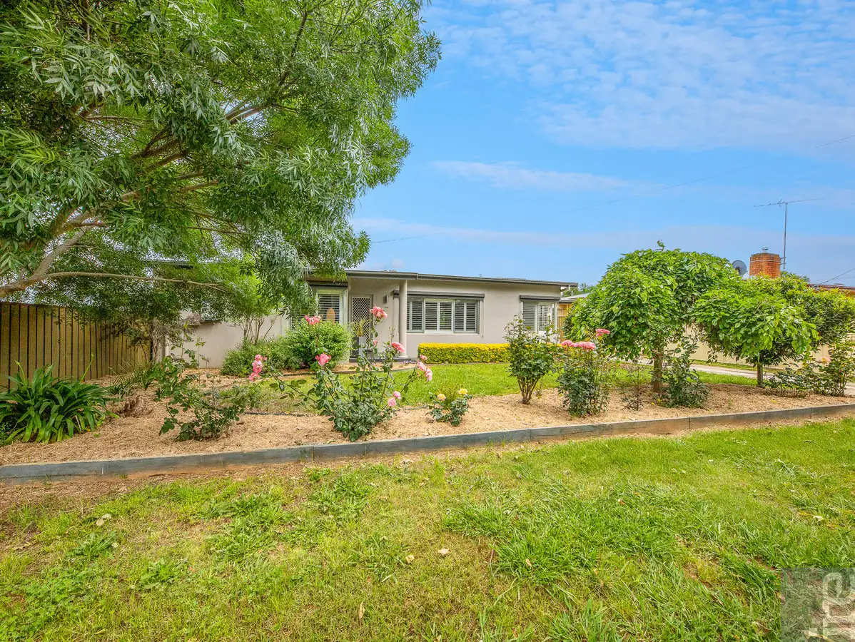 Main view of Homely house listing, 204 Milawa-Bobinawarrah Road, Milawa VIC 3678
