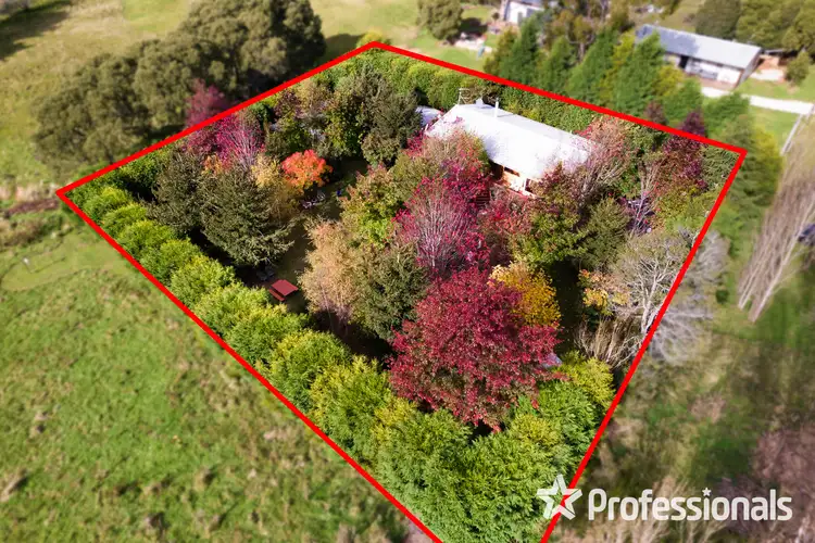 Third view of Homely house listing, 993 Bathurst Street, Sunny Corner NSW 2795