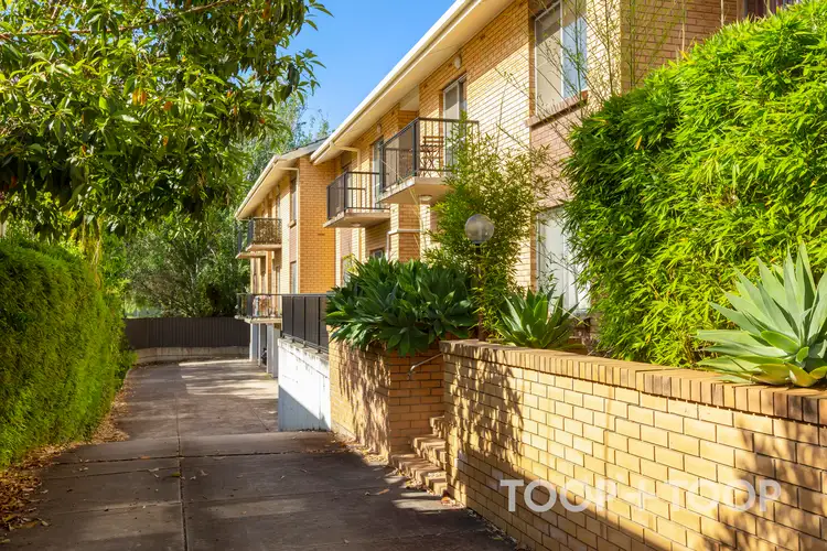 Main view of Homely unit listing, 7/241 Young Street, Unley SA 5061