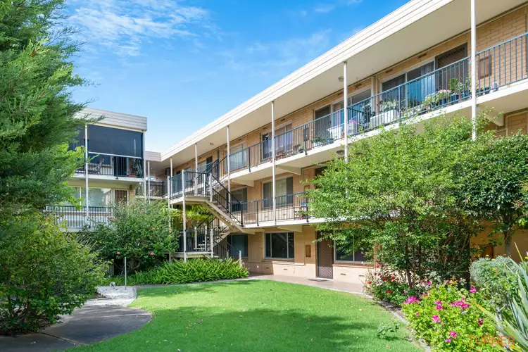 5/174 Barton Terrace West, North Adelaide SA 5006
