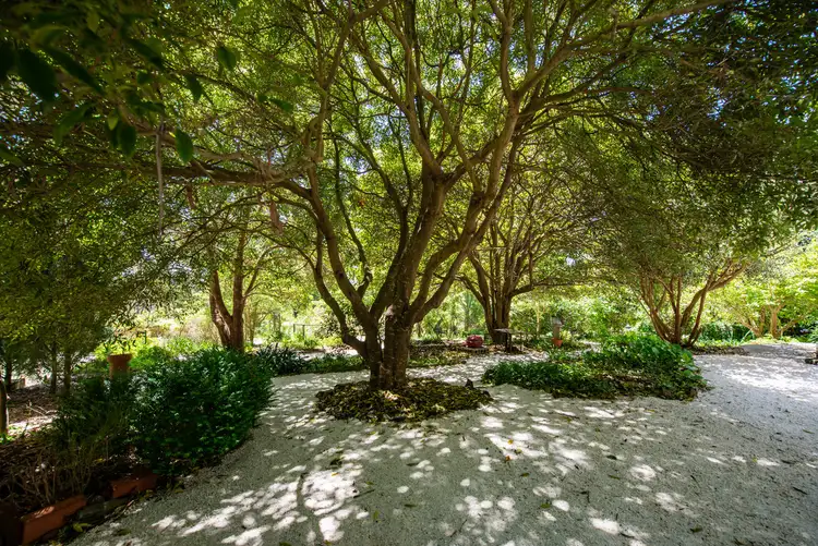 Sixth view of Homely rural property listing, 75 Healeys Road, Yinnar South VIC 3869